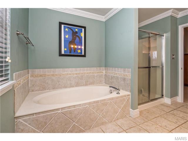 654 Covered Bridge Ln, O'fallon, MO 63368 photo 19