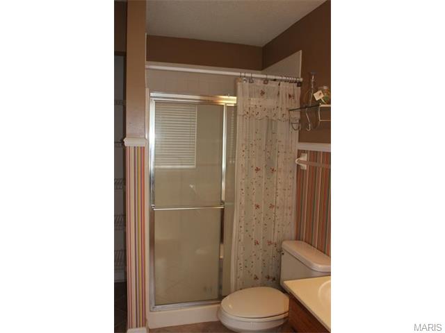 1163 Alyssa Ct, O'fallon, MO 63366 photo 22