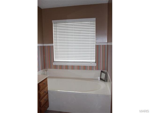 1163 Alyssa Ct, O'fallon, MO 63366 photo 20