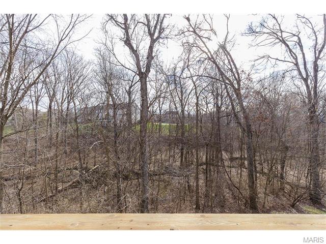 404 Fox Run, O'fallon, MO 63368 photo 37