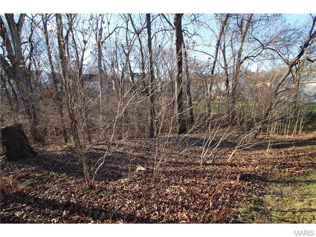 611 Carman Forest Ln, Ballwin, MO 63021 photo 30
