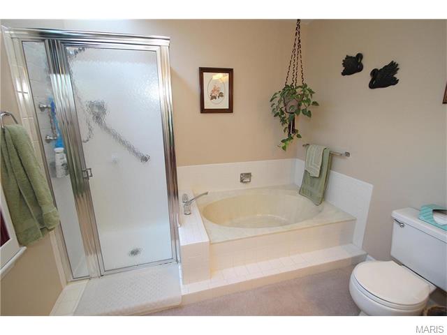 611 Carman Forest Ln, Ballwin, MO 63021 photo 18