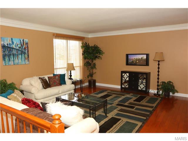 404 Madrina Ct, Ballwin, MO 63021 photo 5