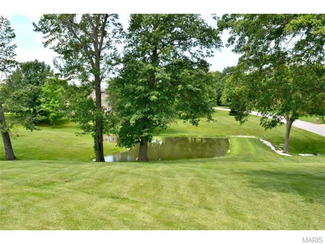 2159 Wyndbrook Ln, O'fallon, MO 63366 photo 29