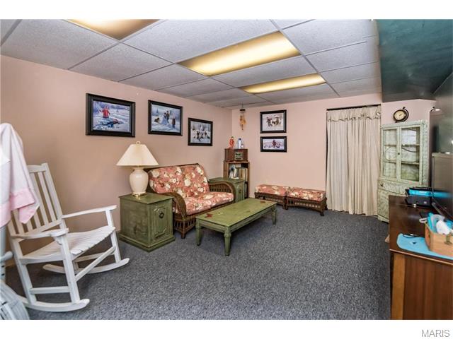 116 Holly Green Dr, Ballwin, MO 63021 photo 20