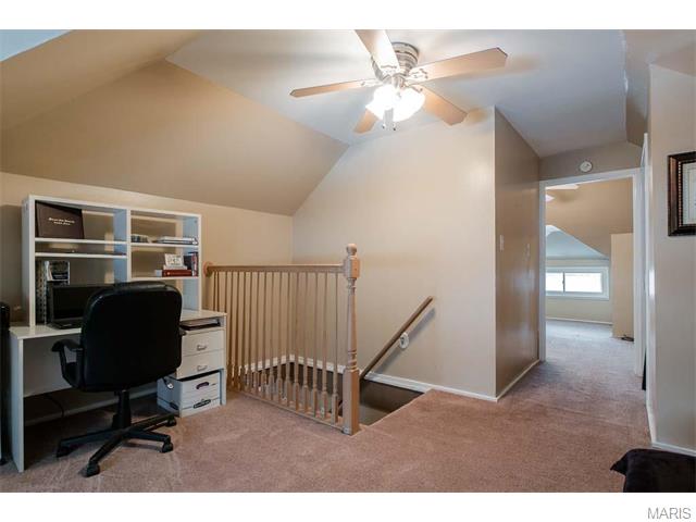 7133 Bruno Ave, Saint Louis, MO 63143 photo 28