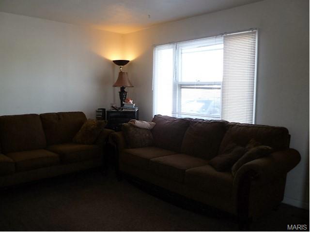 3739 Wright Ave, Saint Ann, MO 63074 photo 3