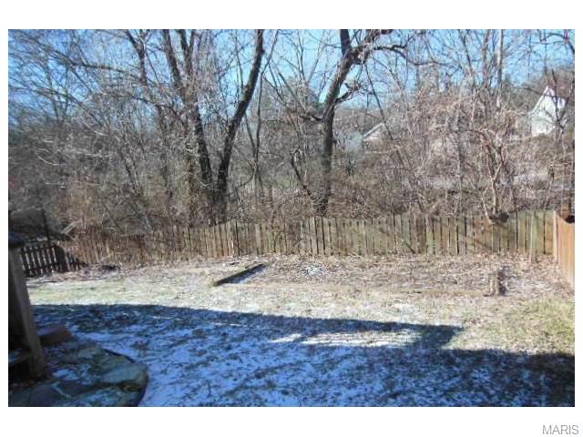 16416 Baja Ct, Ballwin, MO 63011 photo 21
