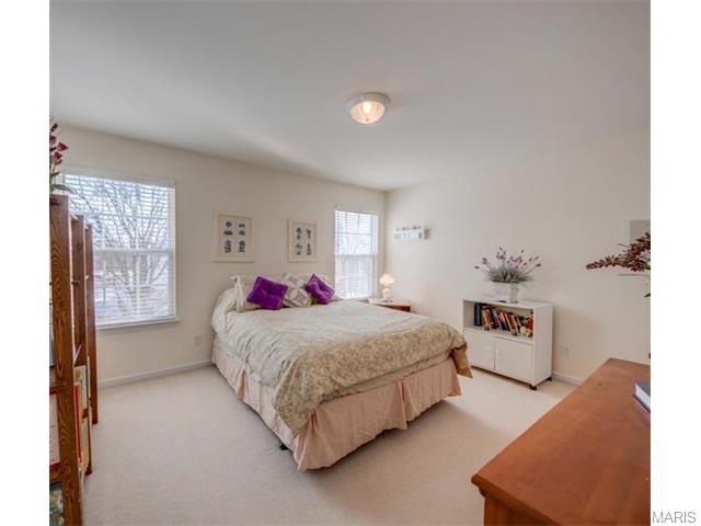 26 Bridgeway Ct, O'fallon, MO 63368 photo 22