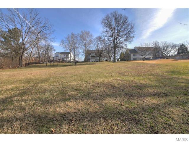 711 Henry Ave, Ballwin, MO 63011 photo 8
