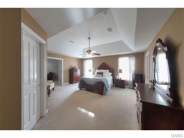711 Henry Ave, Ballwin, MO 63011 photo 23