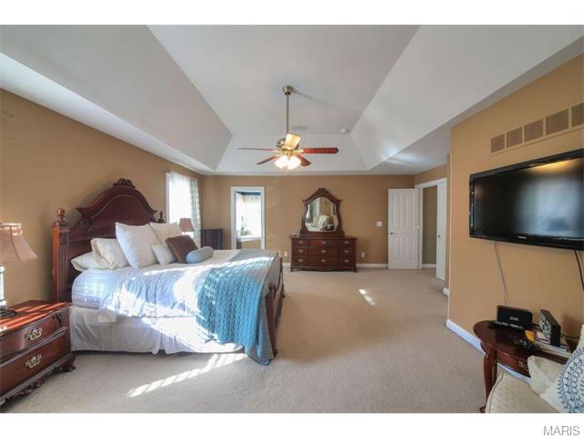 711 Henry Ave, Ballwin, MO 63011 photo 25