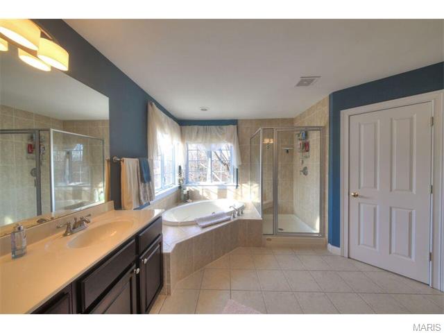 711 Henry Ave, Ballwin, MO 63011 photo 26