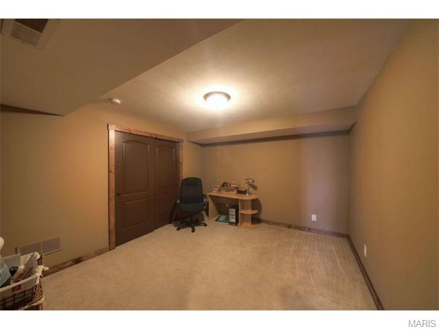 711 Henry Ave, Ballwin, MO 63011 photo 36