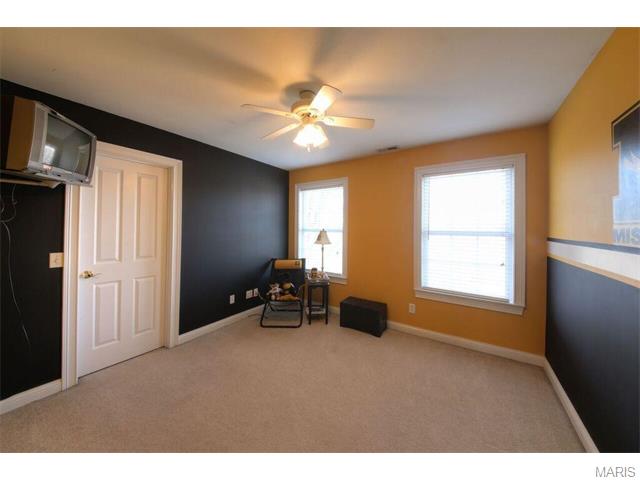 711 Henry Ave, Ballwin, MO 63011 photo 28