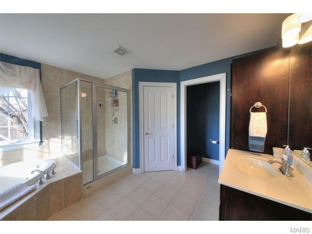 711 Henry Ave, Ballwin, MO 63011 photo 27