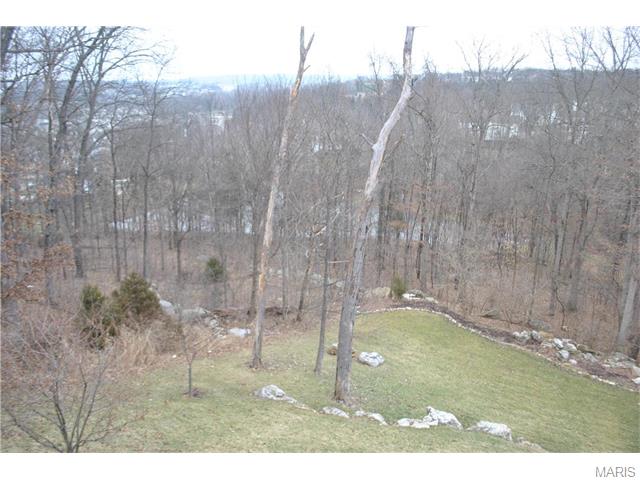 1044 Stone Spring Ct, Eureka, MO 63025 photo 31