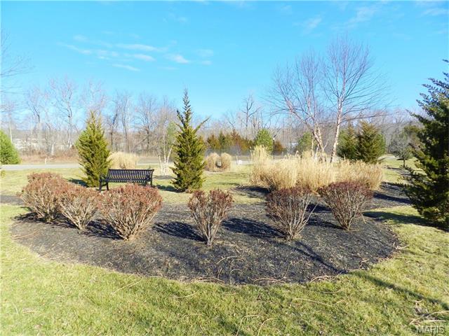 900 Summit Oaks, Eureka, MO 63025 photo 42
