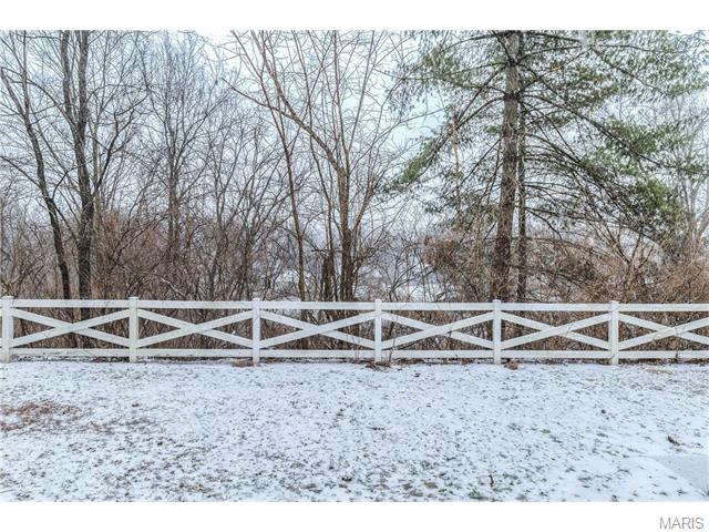 1344 Rusticview Dr, Ballwin, MO 63011 photo 39