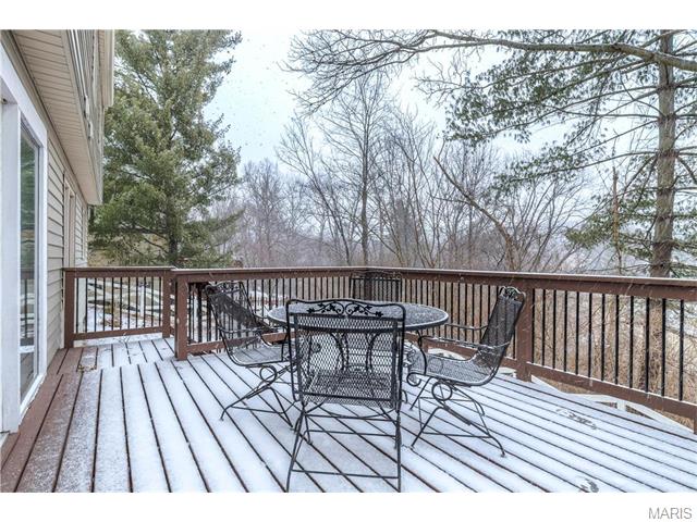 1344 Rusticview Dr, Ballwin, MO 63011 photo 36