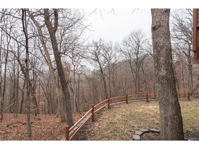 1645 Wolf Trail Rd, Wildwood, MO 63021 photo 34
