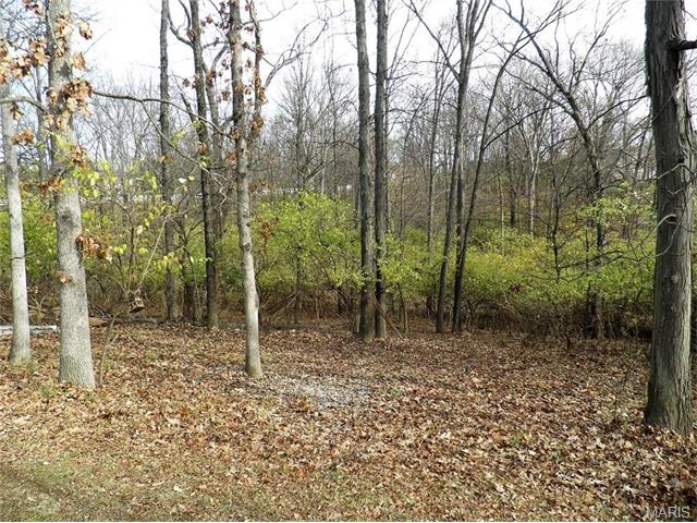 215 Strecker, Ballwin, MO 63011 photo 3