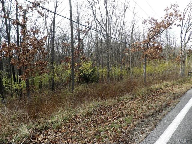 215 Strecker, Ballwin, MO 63011 photo 6