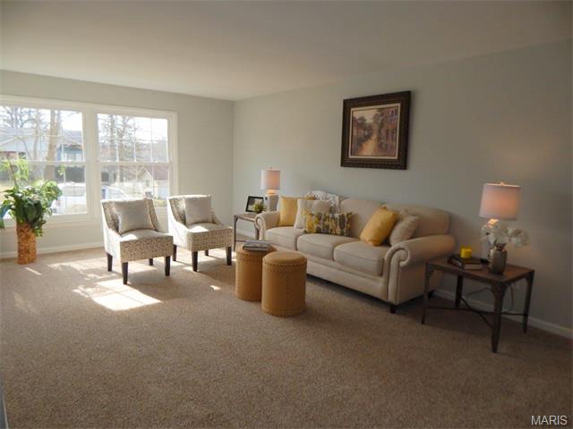407 Brass Lamp Dr, Ballwin, MO 63011 photo 10