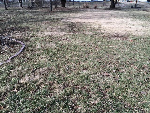 309 Wallach, Eureka, MO 63025 photo 19