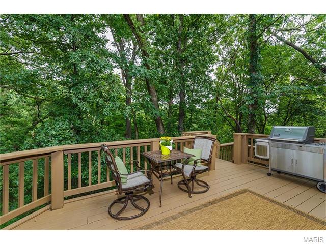 532 Wetherby Ter, Ballwin, MO 63021 photo 48