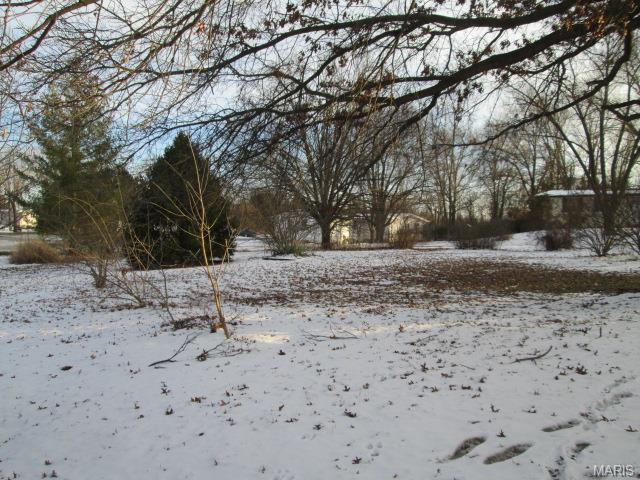 254 Oakborough Dr, Lake Saint Louis, MO 63367 photo 22