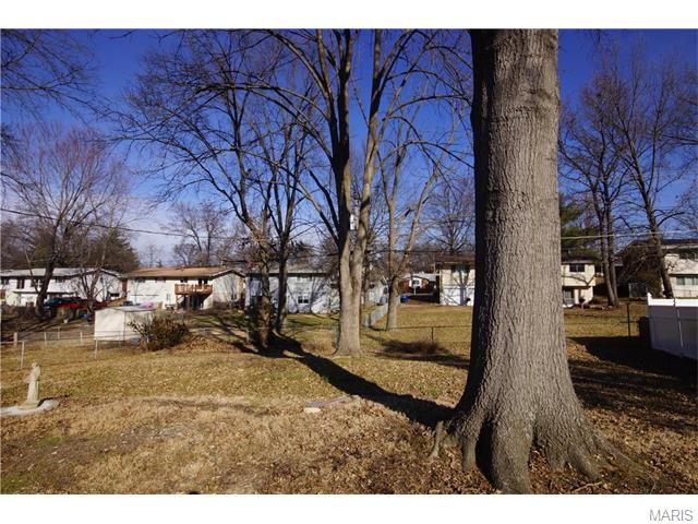 1139 Villaview Dr, Ballwin, MO 63021 photo 2