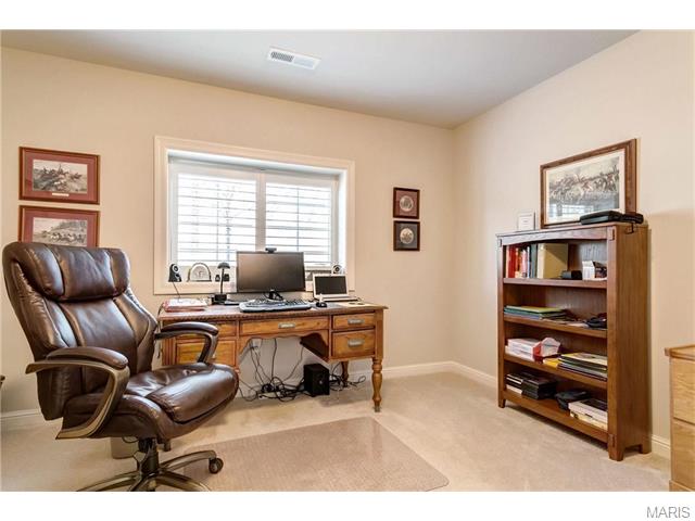 544 Trevi Ln, Ballwin, MO 63011 photo 31