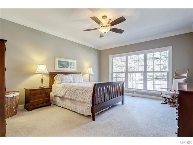 544 Trevi Ln, Ballwin, MO 63011 photo 18