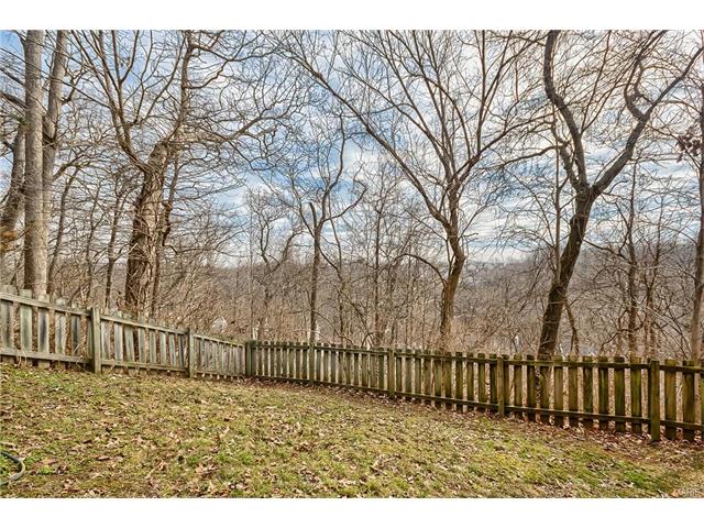 592 Wetherby Ter, Ballwin, MO 63021 photo 40