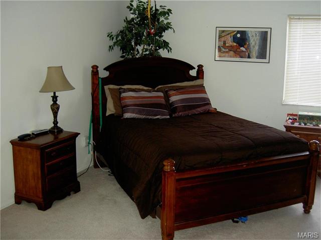 1638 Award, Ballwin, MO 63021 photo 10