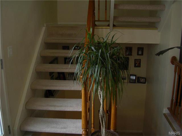 1638 Award, Ballwin, MO 63021 photo 9