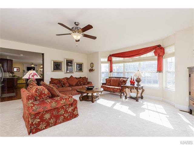 230 Fox Hvn, O'fallon, MO 63368 photo 9