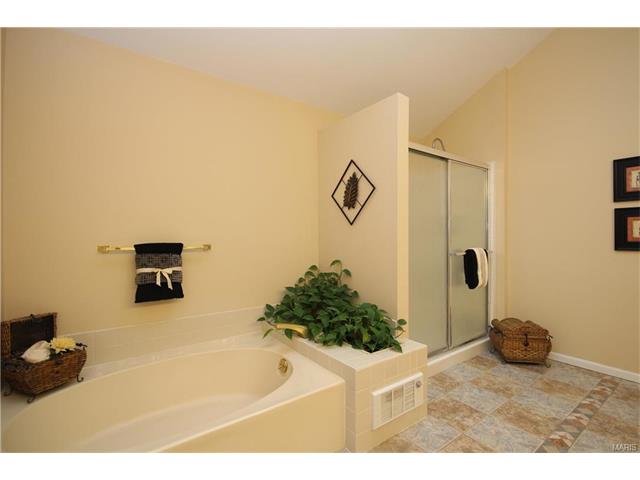 1456 Cedar Bluff Dr, Ballwin, MO 63021 photo 31
