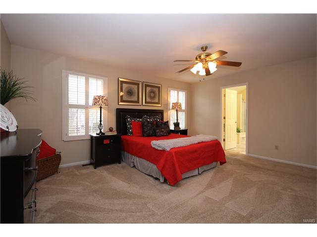 1456 Cedar Bluff Dr, Ballwin, MO 63021 photo 28