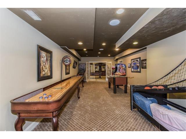 1318 Eaglewinds Ct, Chesterfield, MO 63005 photo 67