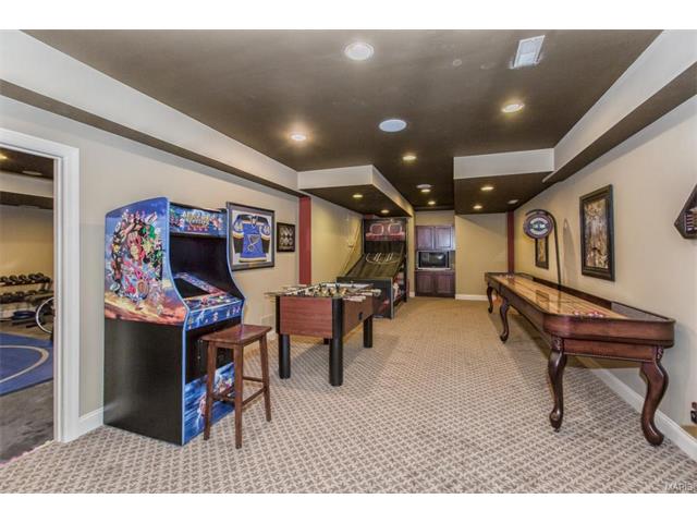 1318 Eaglewinds Ct, Chesterfield, MO 63005 photo 66