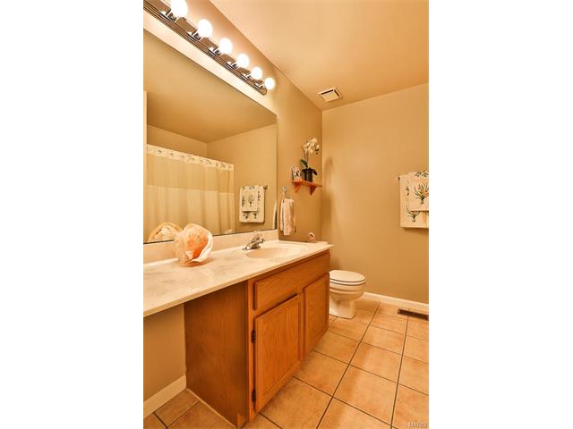 6420 High Meadow Dr, O'fallon, MO 63368 photo 15