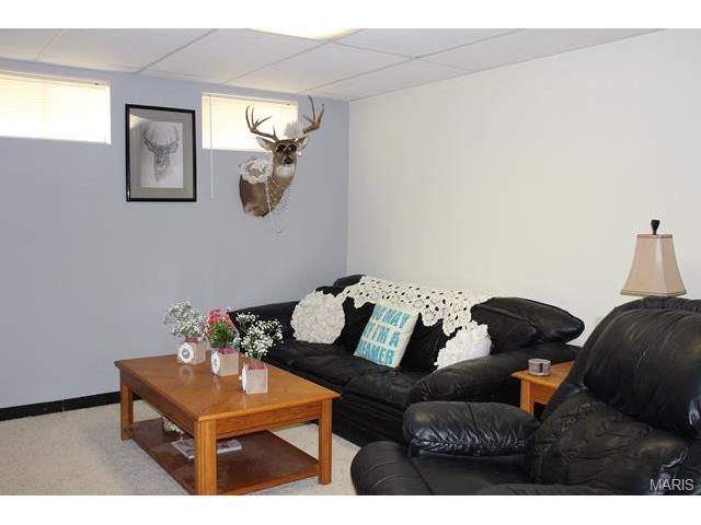209 Geranium Dr, O'fallon, MO 63366 photo 27