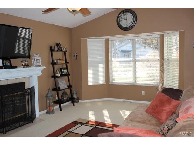 209 Geranium Dr, O'fallon, MO 63366 photo 11