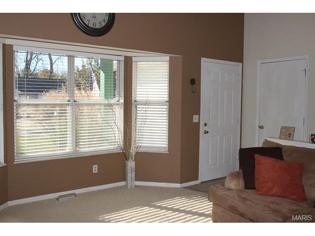 209 Geranium Dr, O'fallon, MO 63366 photo 15