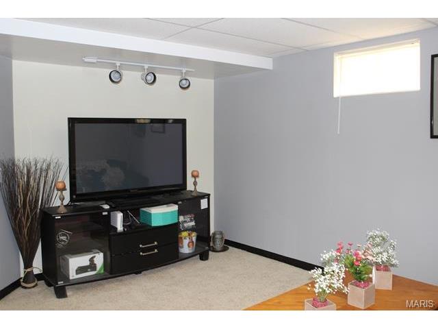 209 Geranium Dr, O'fallon, MO 63366 photo 26