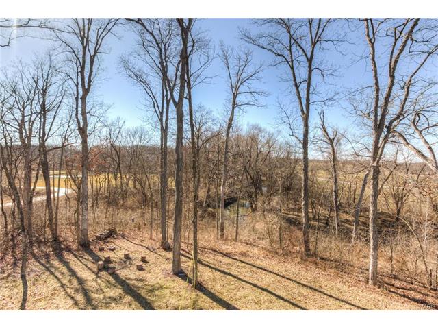 408 Bittersweet Dr, O'fallon, MO 63366 photo 11