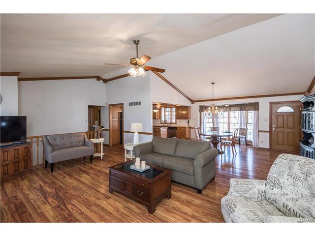 16459 Birch Forest Dr, Wildwood, MO 63011 photo 6