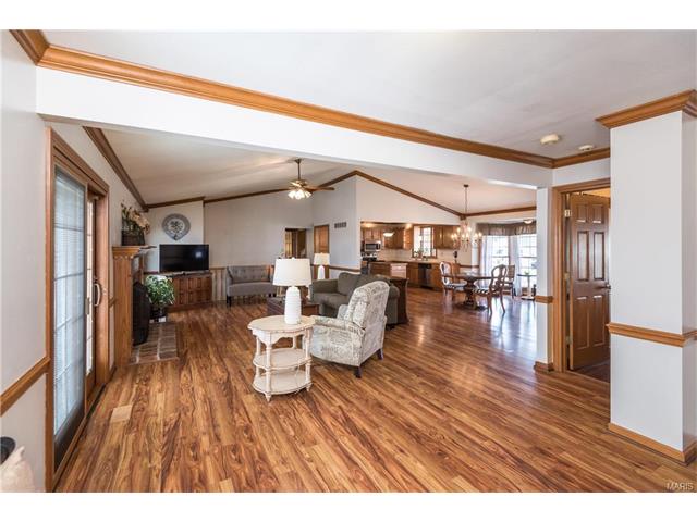 16459 Birch Forest Dr, Wildwood, MO 63011 photo 9